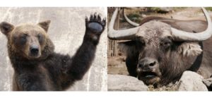 レバレッジ型投信の落とし穴にご注意!