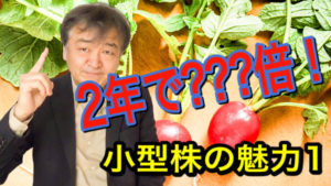 小型株の魅力1_小型株効果とは