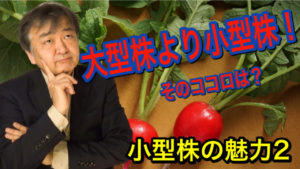 小型株の魅力2_小型株効果が生じる理由