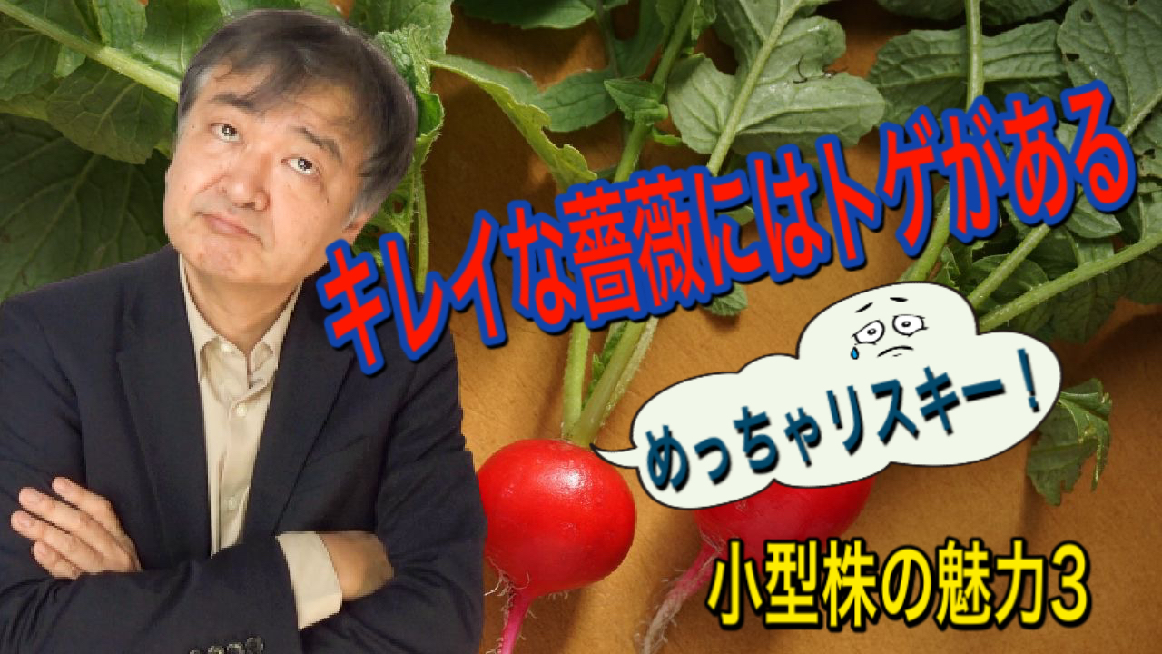小型株の魅力3_高いリスクにご注意